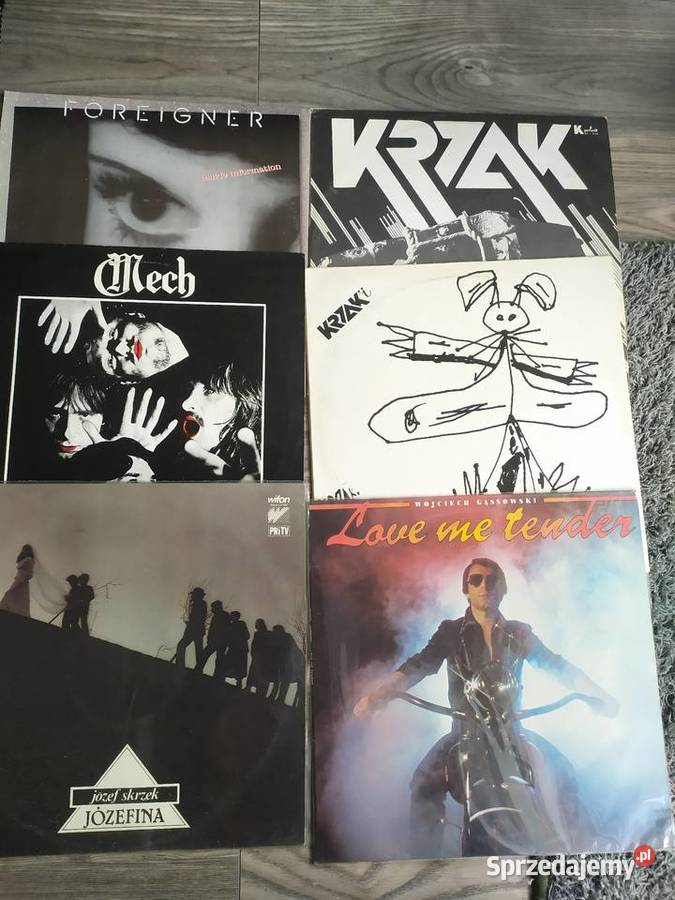 Płyty winylowe Kultura i Rozrywka lubuskie Zielona Góra sprzedam