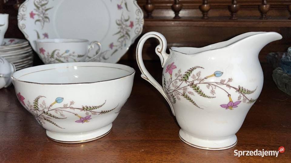 Serwis Fancy Free z Standart England Gdańsk