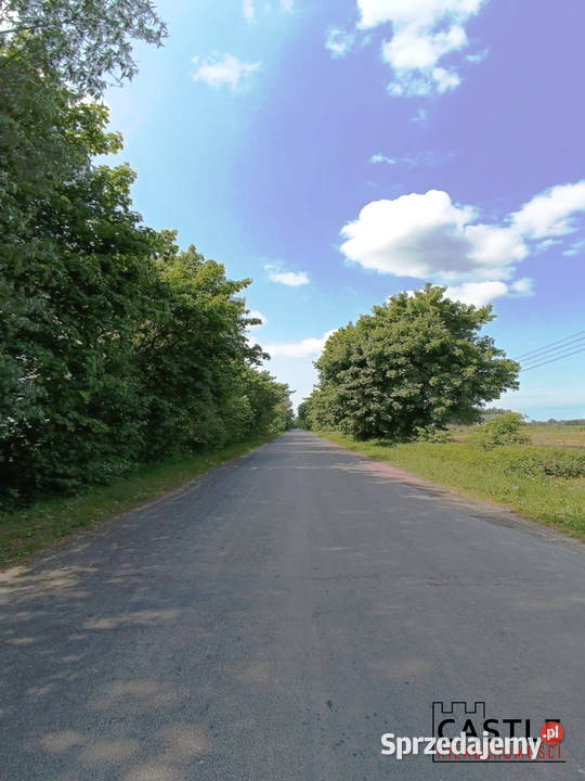 Groszkowo I Mierzeja Wiślana I działka pod