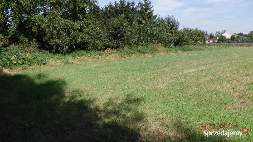 Sprzedam działkę budowlano inwestycyjna siatka Głogówko Królewskie