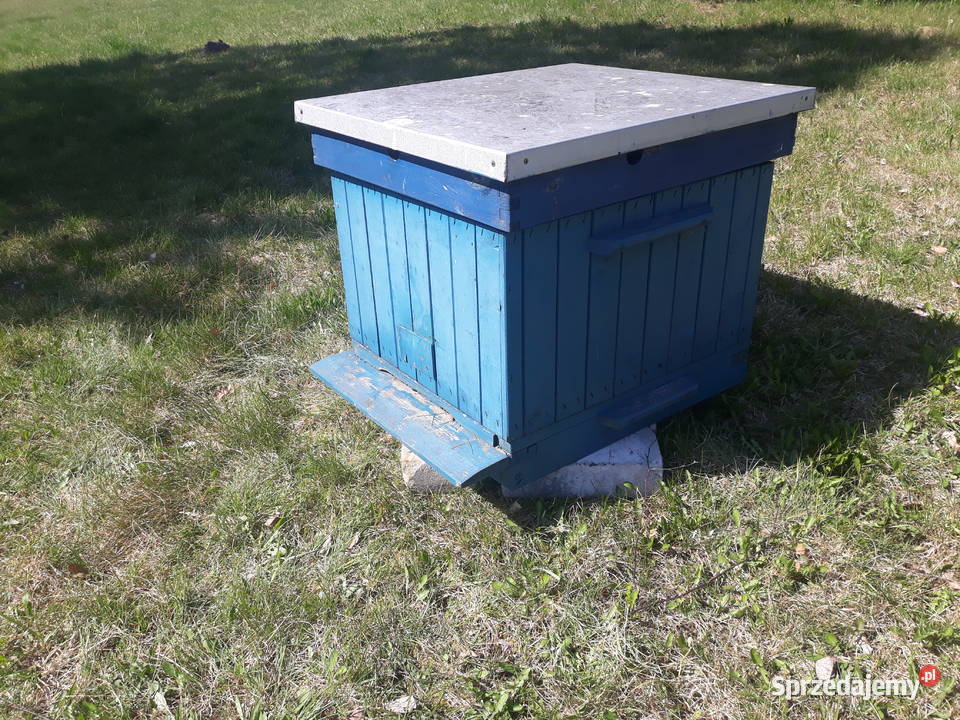 Dadanta ocieplany 10ramkowy korpusowy