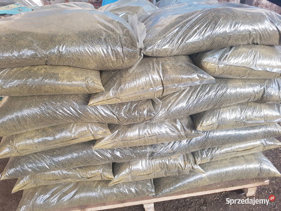 Makuch rzepakowy Gliwice sprzedam