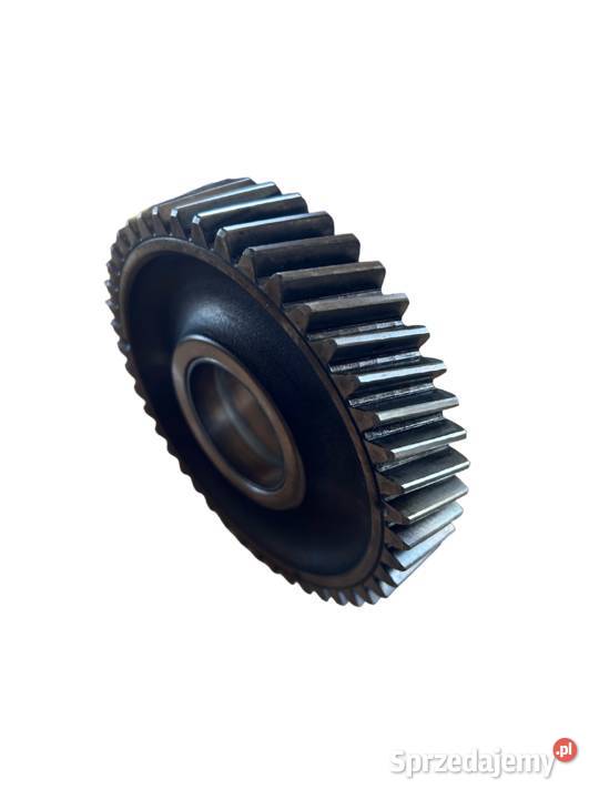 KOŁO ZĘBATE TRYB Z44 04154591 BFG6L913T AGROSTAR