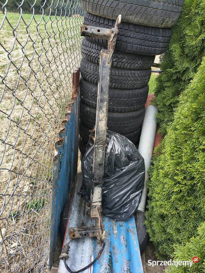 Hak polonez Pozostałe