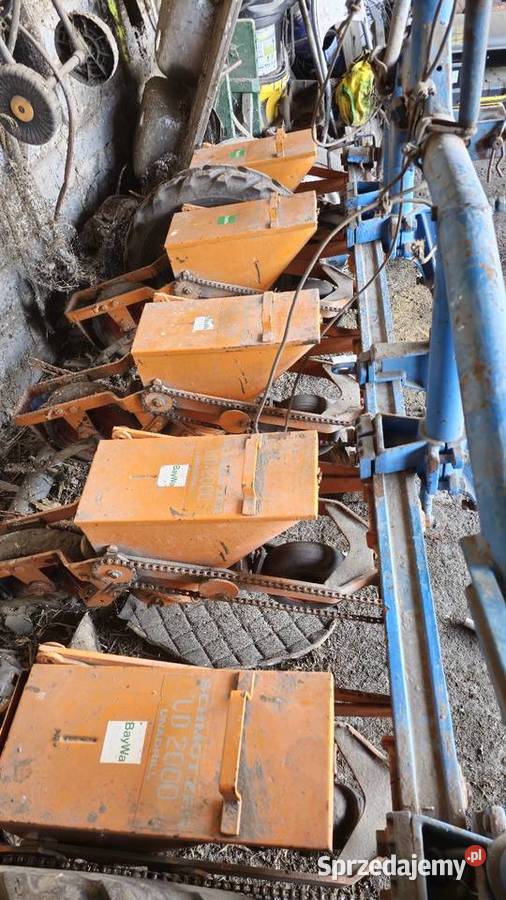 Sprzedam siewnik do buraków siewnik do kukurydzy nieuszkodzony Lasocice