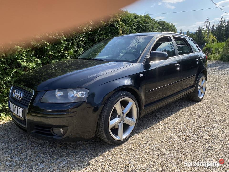 Audi a3 8p 19tdi BLS Alu 18 diesel Wilkowisko