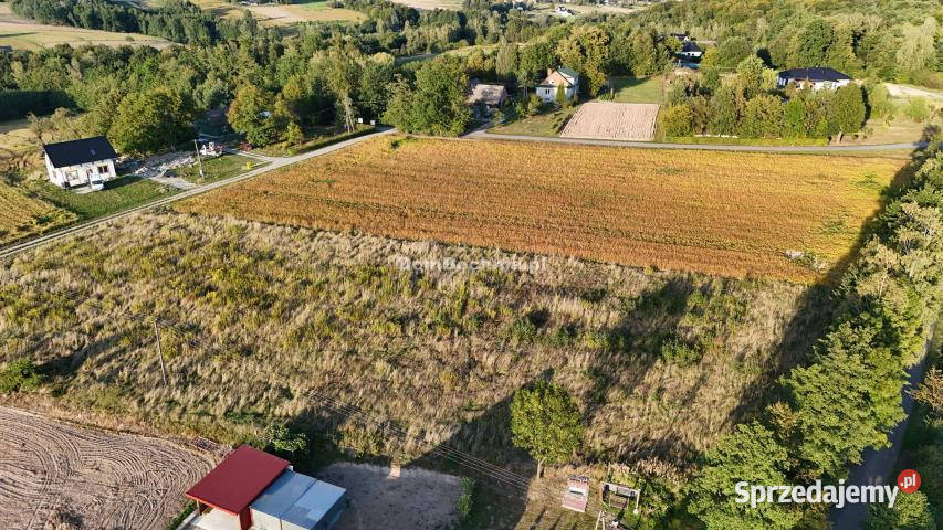 Ogłoszenie działka 1401m2 Tworkowa Sprzedaż