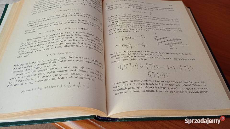 Równania fizyki matematycznej S K Godunow twarda Gdańsk