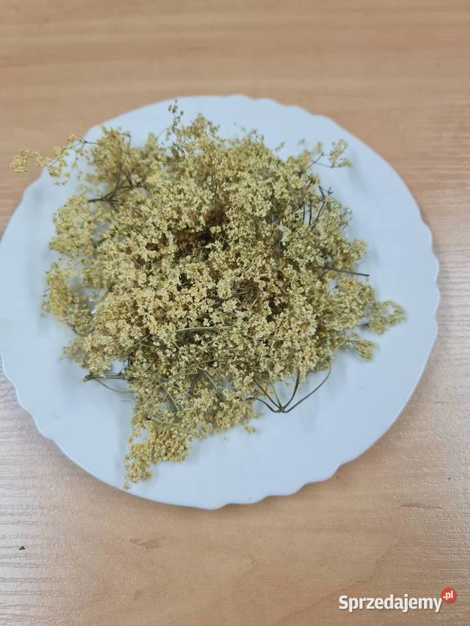 Bez czarny kwiat bzu czarnego 50g ukł oddechowy Białystok