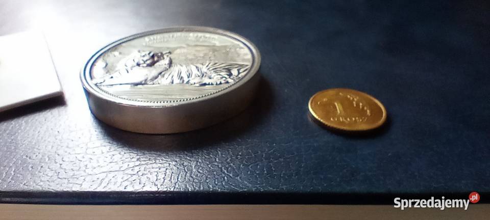 Stare monety Medal 238 Lesko
