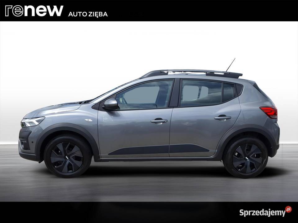 Sandero Stepway 10 TCe Expression LPG podgrzewane fotele