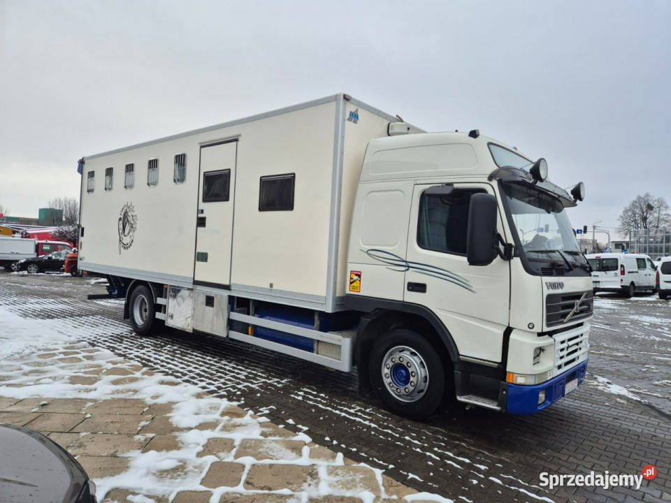Volvo FM7 DO BYDŁA I KONI Volvo FM 7 DO PRZEWOZU Łaziska Górne