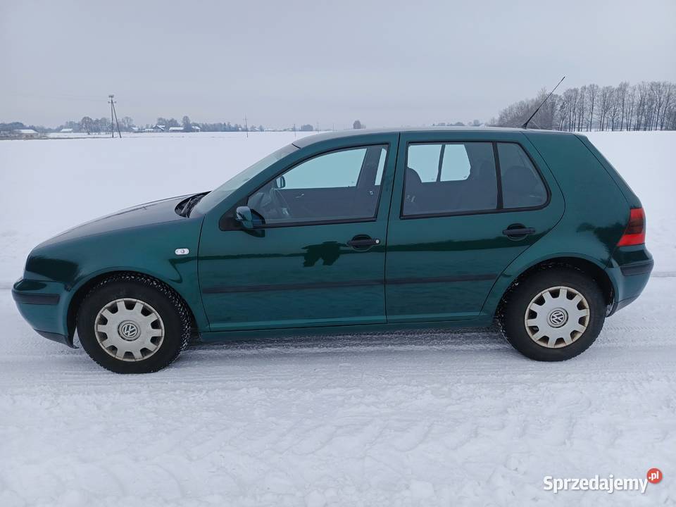 Volkswagen Golf 4 14 bg Babin