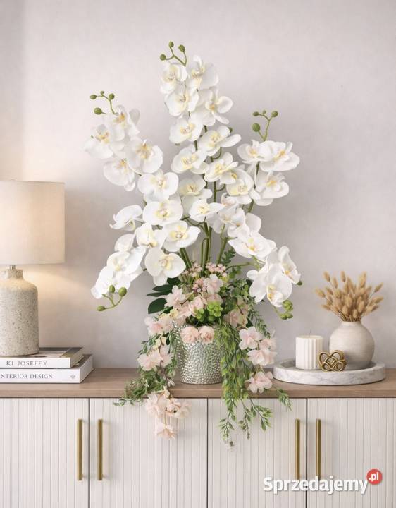 Wiosenne storczyki pomorskie Kwidzyn