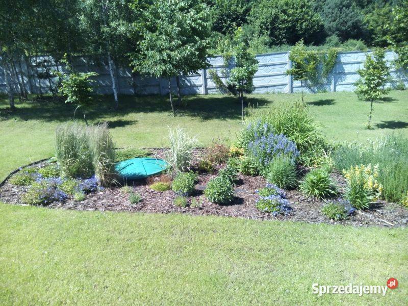 Biologiczna oczsyzczalnia ścieków AT6 15 Katowice