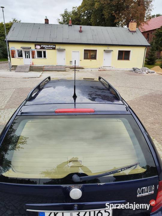 Skoda Octavia Laurin Klement ABS Dygowo