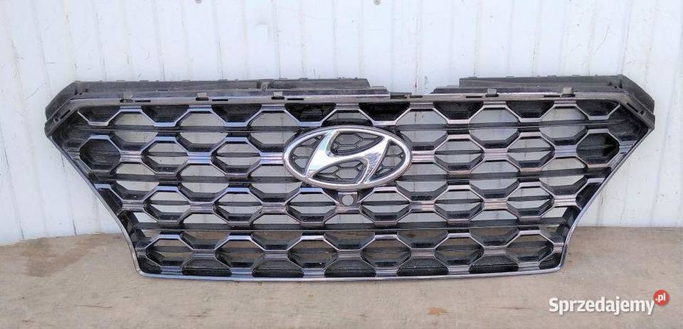 HYUNDAI SANTA FE 1820 GRILL ATRAPA zachodniopomorskie