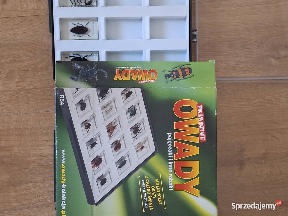 Kolekcja owadów w żywicy 24 preparaty w