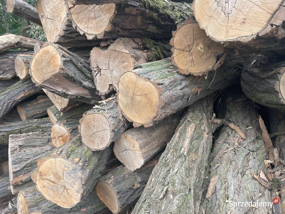 Sprzedam akacje Cieszyny sprzedam