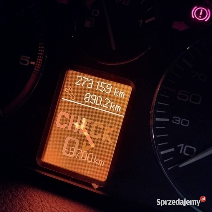 Peugeot 407 wielkopolskie