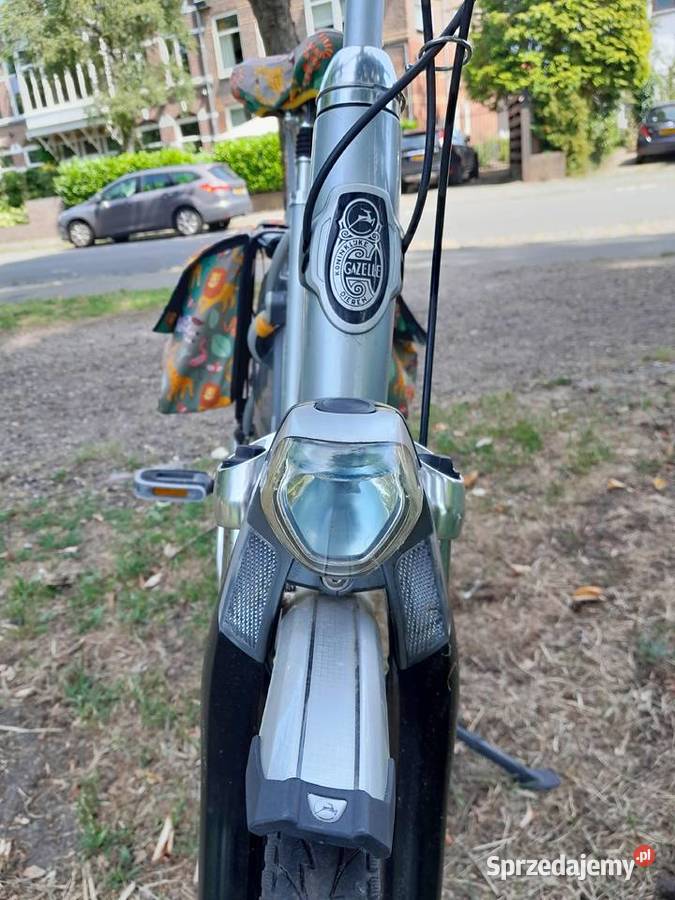 DAMKA GAZELLE Miejskie Łuków