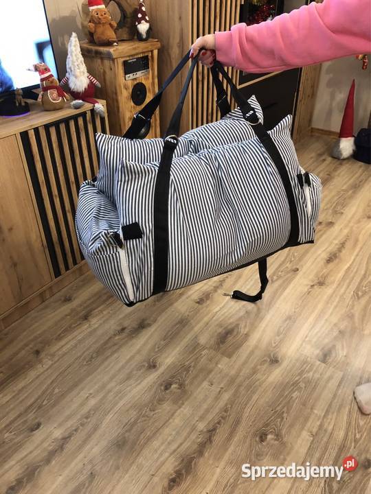 Fotelik psa wielkopolskie