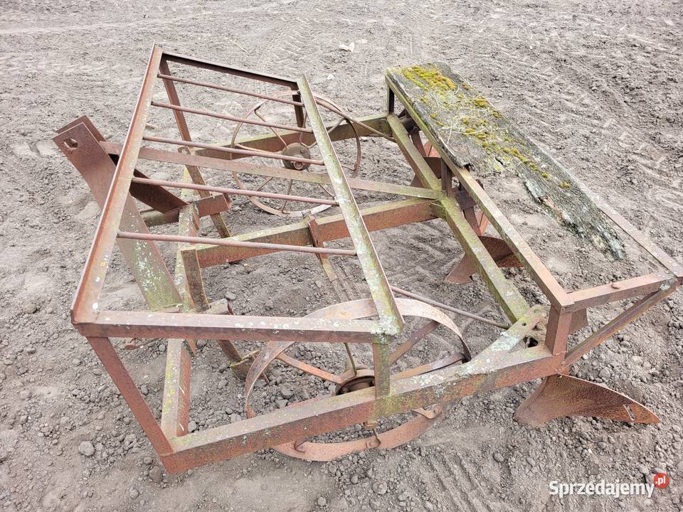 Sadzarka do kiełkowanych ziemniaków ręczna Miedniewice