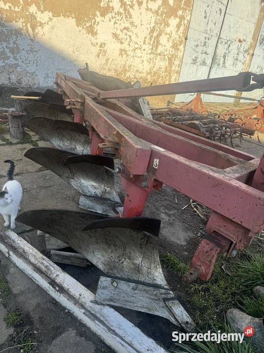 Pług 5 skibowy staltech Bądkowo sprzedam