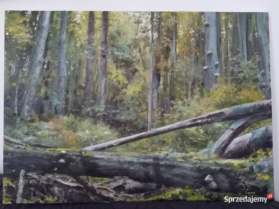Obraz olejny 50x70 Bieszczady podkarpackie Przeworsk