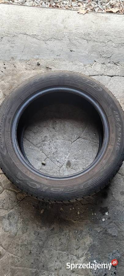 Opony zimowe Dębica frigo 2155516 opony zimowe 55 Legnica