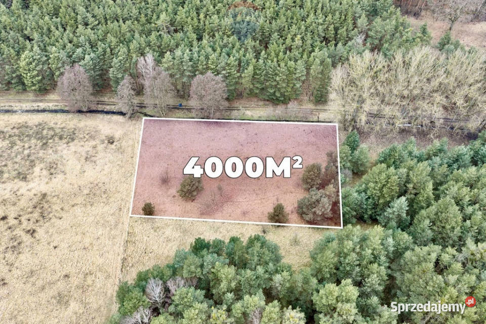 Na sprzedaż działka rolna o pow 4000 m Przytok