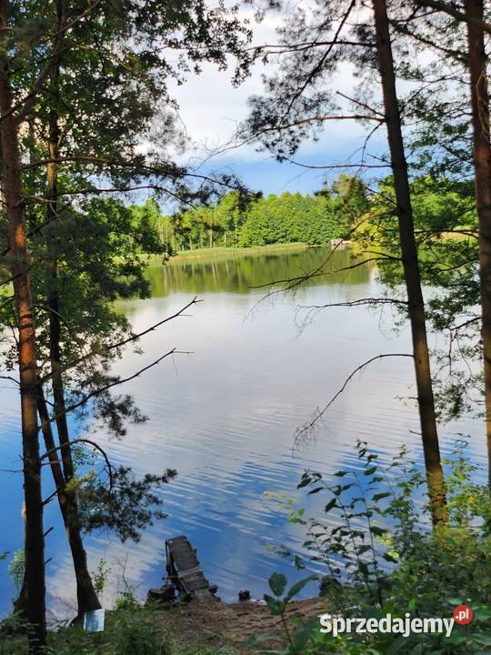 Okazja Gospodarstwo rolne 2177ha z dostępem do Raczki