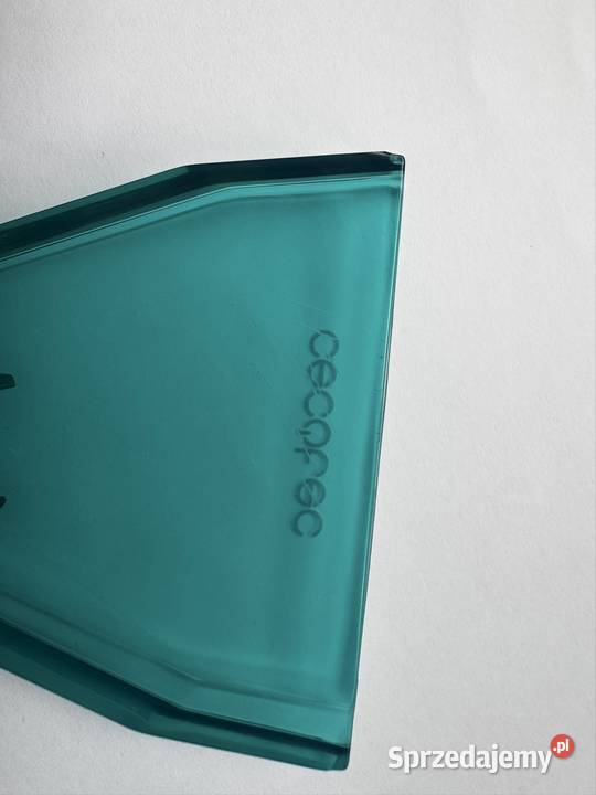 Cecotec Conga 3000 CarpetSpot Clean XTreme dolnośląskie Wrocław