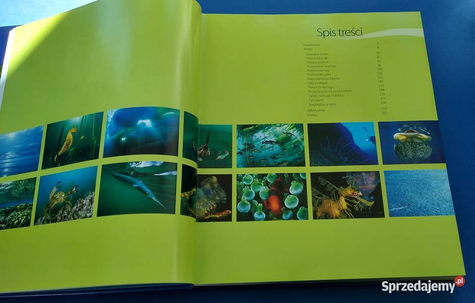 Planeta mórz Laurent Ballesta i Pierre Descamp