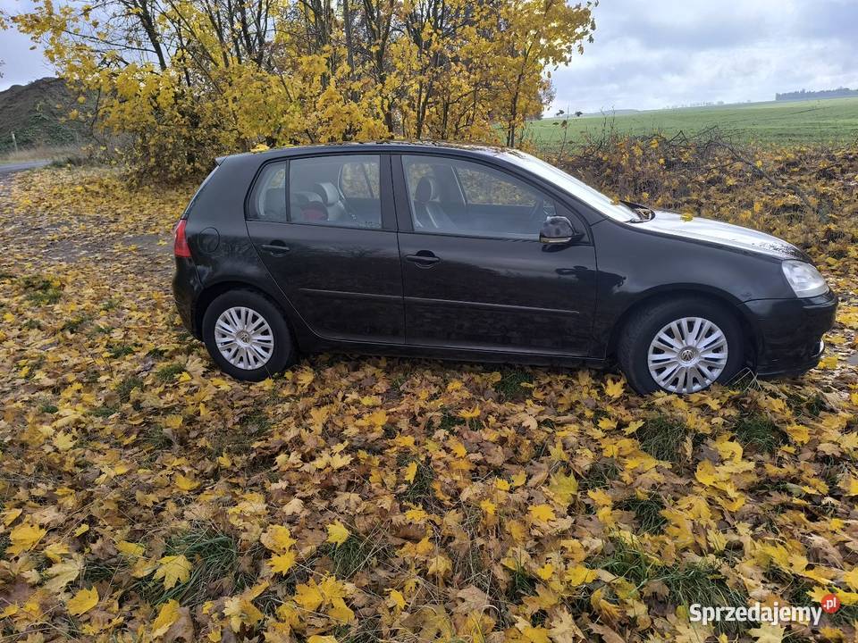 Sprzedam Golf 19 TDI 90 koni Rok produkcji 2005 Golf Trzcianka