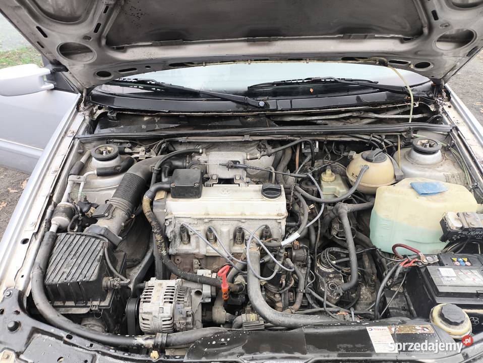 Passat20lB116 1995rzabytekOcprzegląd06 2026r Passat Brwinów