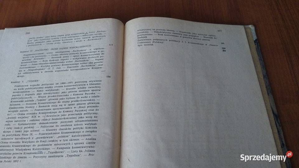 Publicystyka Józefa Ignacego Kraszewskiego w historia, archeologia