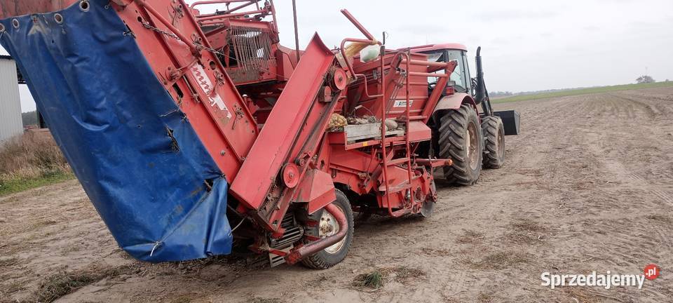 Grimme lk 650 Nowy Dwór