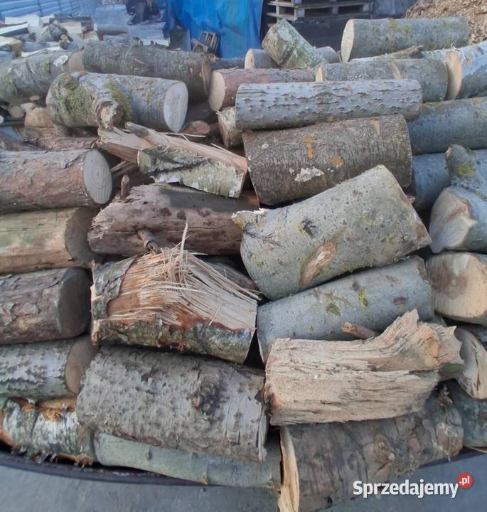 Drewno opałowe w 250 m3 wielkopolskie Brzeźno