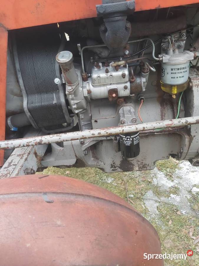 Massey ferguson 255 Jawiszowice