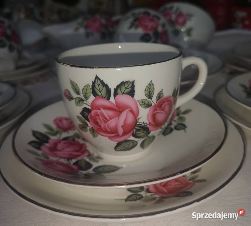 Serwis Empire Porcelain Co Staffordshire Gdańsk