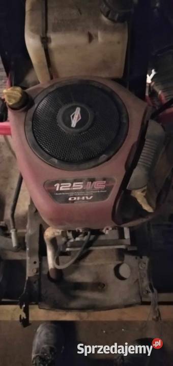 Naprawa sprzętu ogrodniczego skuterów i quadów kujawsko-pomorskie Golub-Dobrzyń