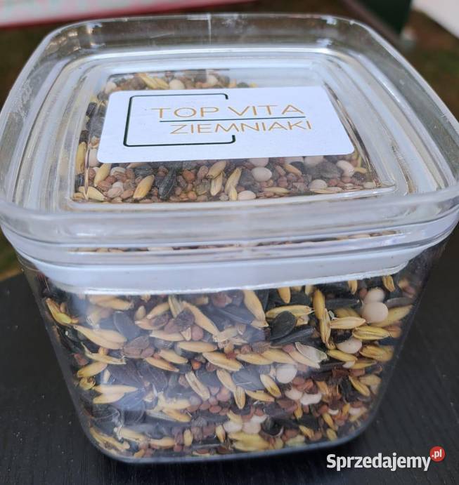 Top Vita Ziemniak mieszanka poplonowa Top Farms sprzedam