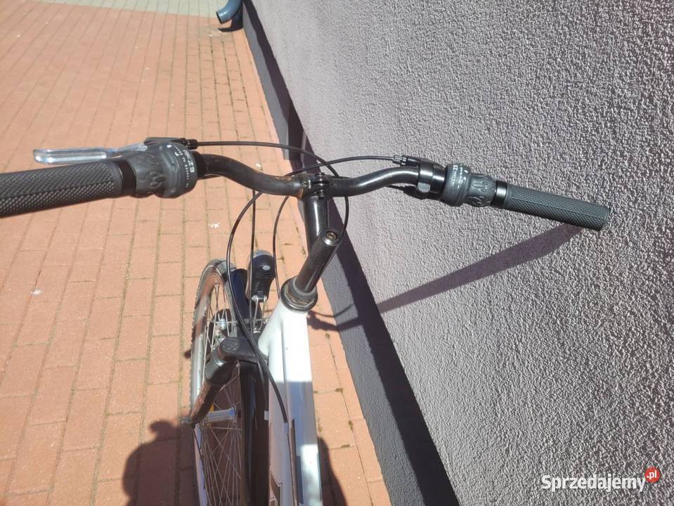 Rower damka aluminiowa rama Turek