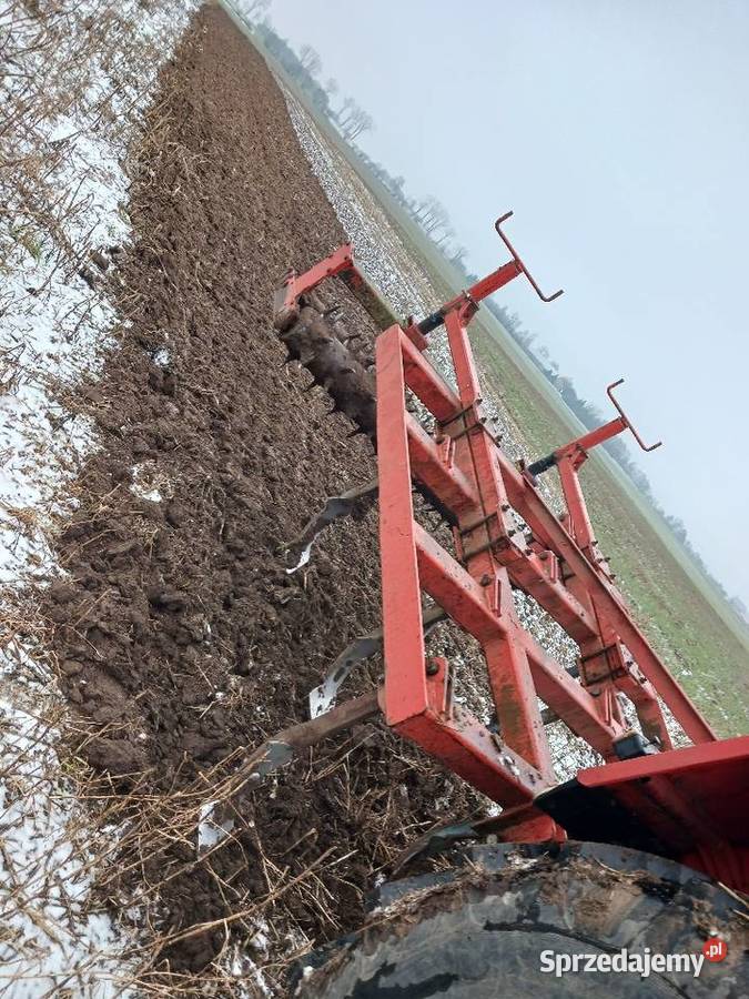 Gruber Landsberg 11 łap nieuszkodzony Szczuczyn