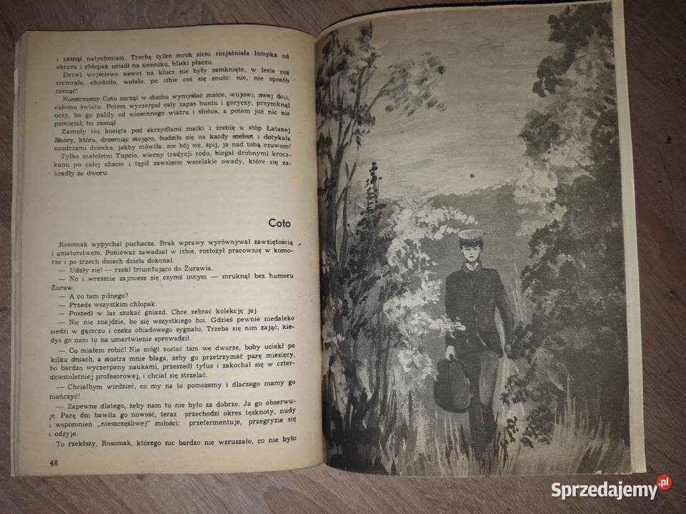 Lato leśnych ludzi Grodzisk Mazowiecki sprzedam