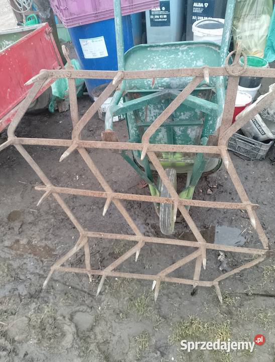 Brony nieuszkodzony Wieszowa