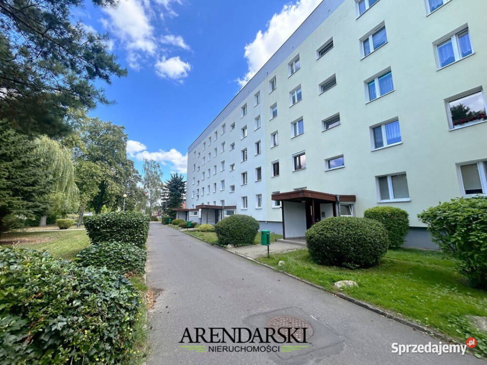 Mieszkanie 536m2 Gorzów Wielkopolski Piętro 1 sprzedam