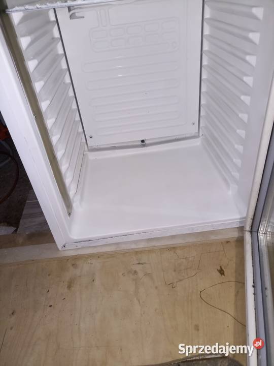 Mini lodówka Carlsberg Kielce