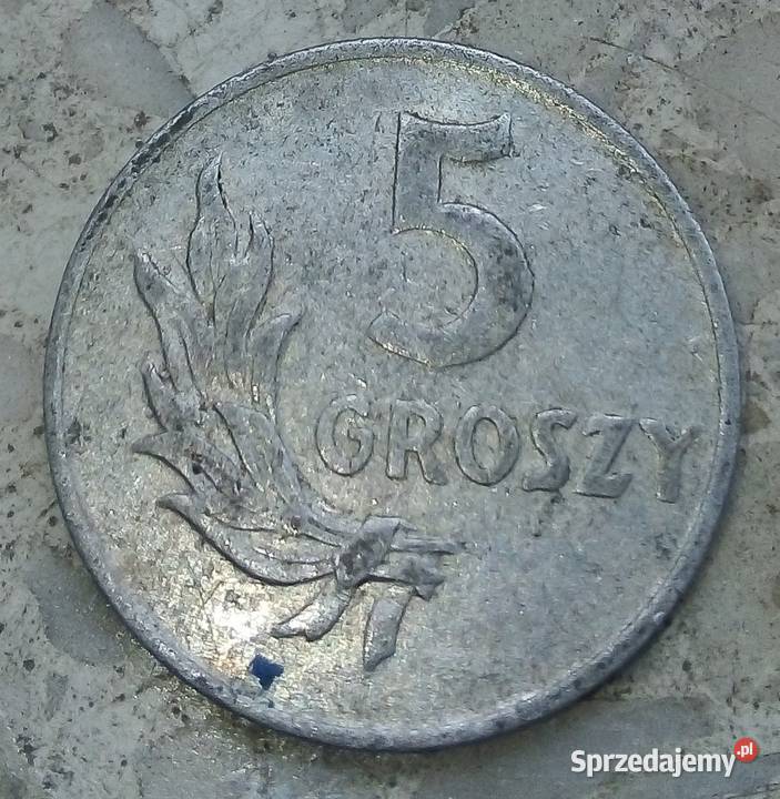 POLSKA 5 GROSZY 1949 rbzALRZADKA mazowieckie